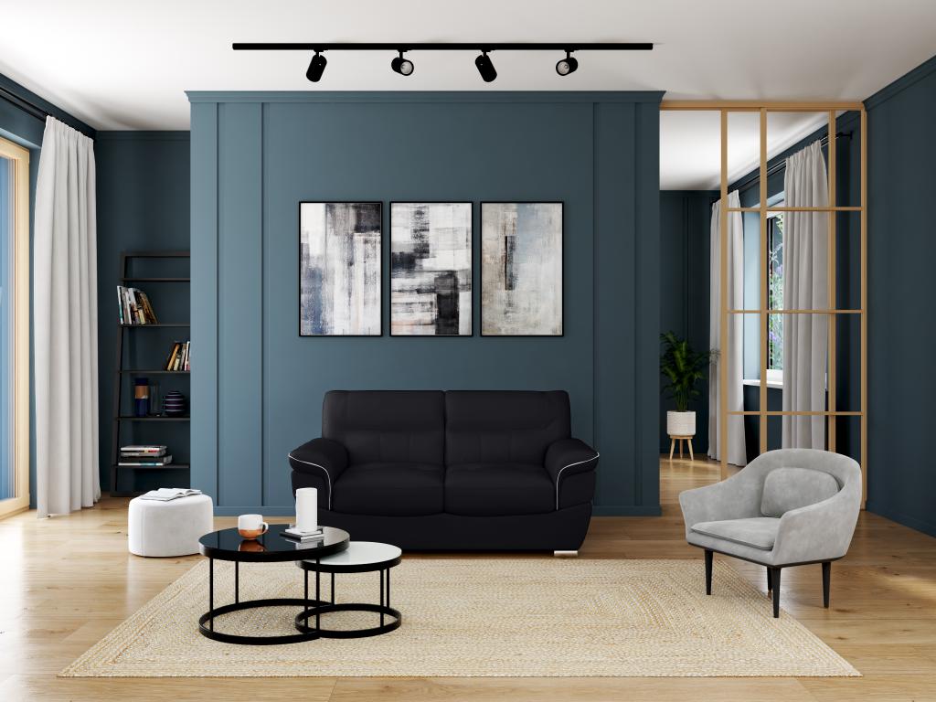 Canapé 2 places en cuir Decohaute - Noir FERU86945